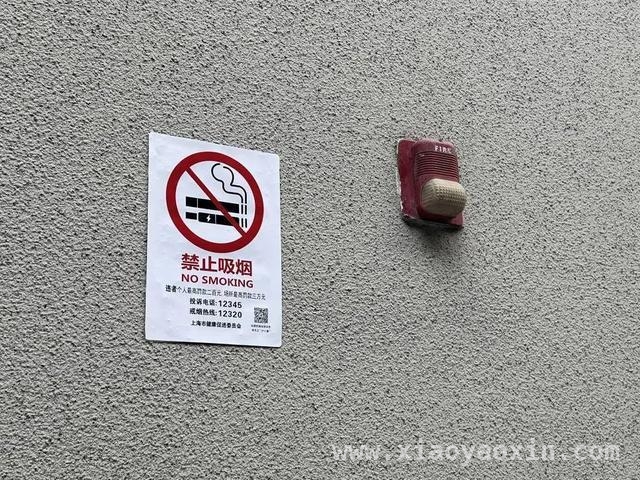 聚焦上海“游烟”治理：专家解读与国内外经验，上海“控烟令”升级，“游烟”治理效果几何？
