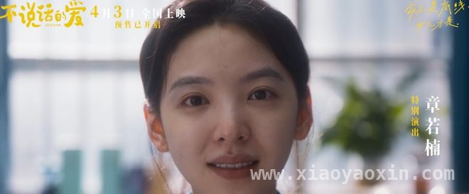 清明档票房遇冷，电影市场何去何从？