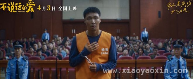 清明档票房遇冷，电影市场何去何从？