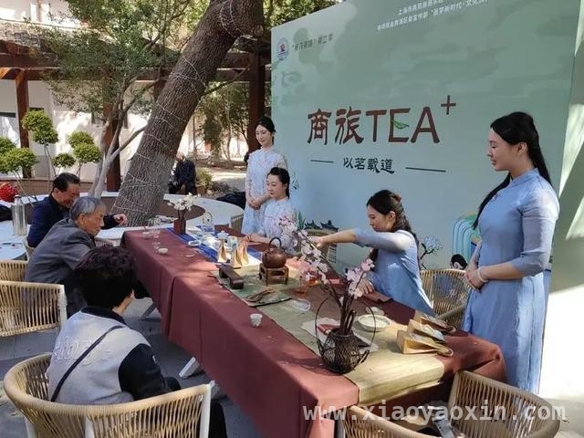 从银发茶友到都市白领，“博雅茶韵”社团用茶续写文化传承故事，“博雅茶韵”社团快闪茶席，串联不同代际春日茶香时光