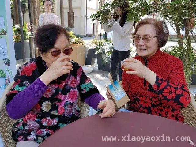 从银发茶友到都市白领，“博雅茶韵”社团用茶续写文化传承故事，“博雅茶韵”社团快闪茶席，串联不同代际春日茶香时光