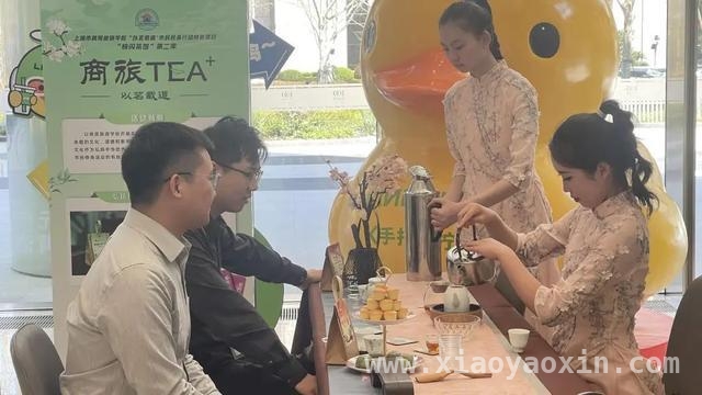 从银发茶友到都市白领，“博雅茶韵”社团用茶续写文化传承故事，“博雅茶韵”社团快闪茶席，串联不同代际春日茶香时光