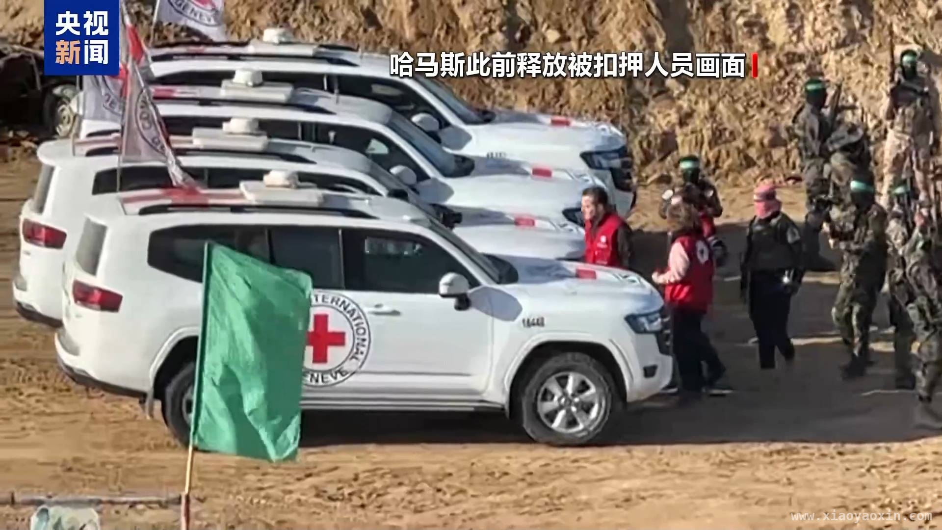 巴以停火新动态：临时性安排能否带来和平曙光？