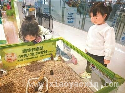“异宠”市场崛起：是潮流还是隐患？