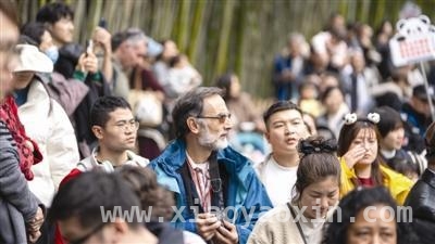 入境游火爆，成都成年轻人财富密码！ 从“流量入口”到“文化窗口”，成都入境游升级之路