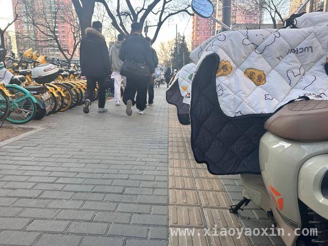 蒲黄榆地铁站盲道曾被占，如今多方治理视障学生上学路畅通，社区街道齐发力，蒲黄榆地铁站盲道重归畅通护视障学生出行