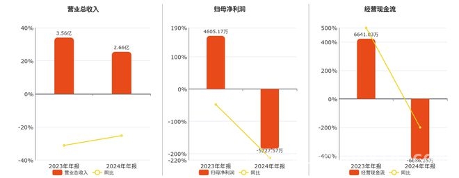 2024年高凌信息业绩不佳，年报数据尽显困境 高凌信息2024年年报出炉，多项指标下滑引关注