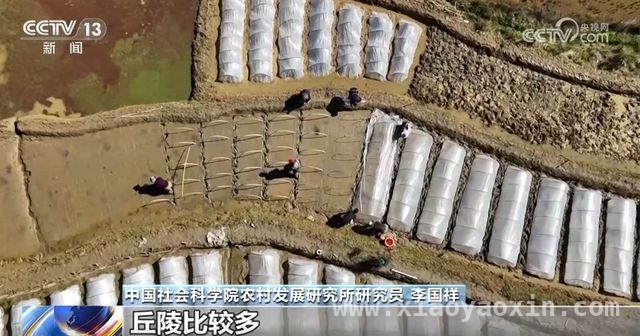 聚焦！永久基本农田建成高标准农田实施方案亮点揭秘