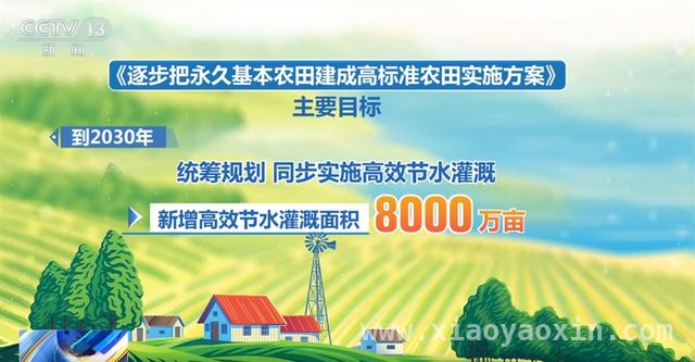 聚焦！永久基本农田建成高标准农田实施方案亮点揭秘