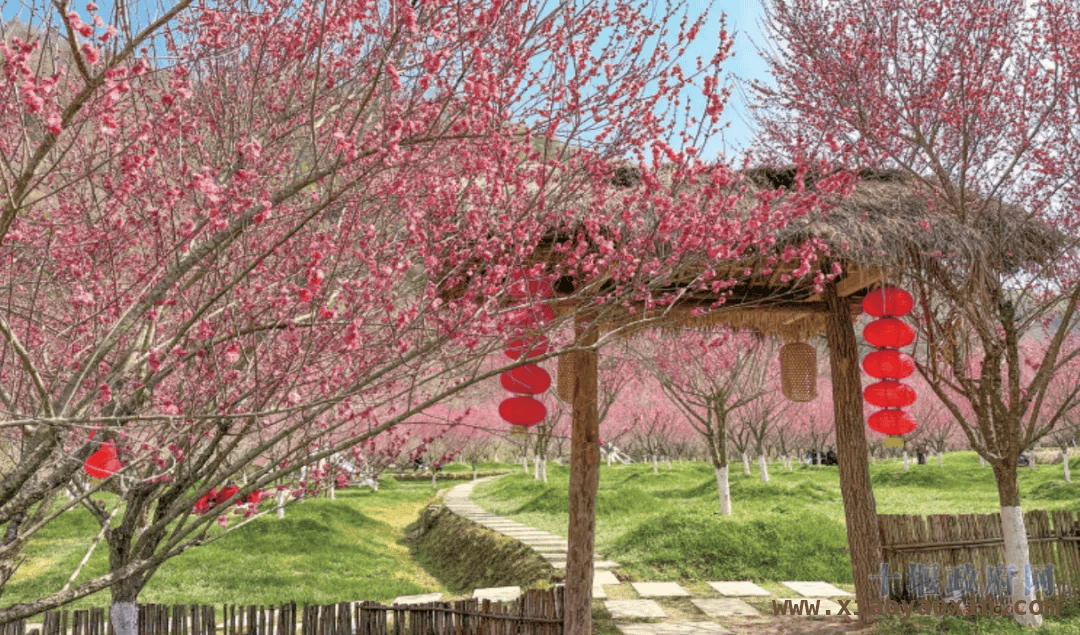 寻味十堰：从早餐到花海的春日之旅，春日十堰：美食与风景的完美邂逅