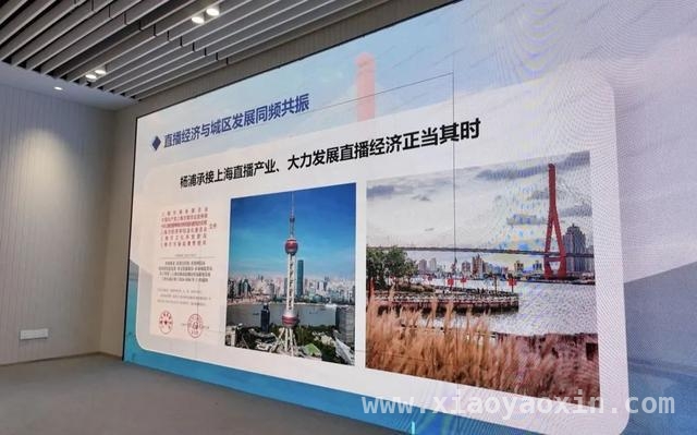 聚焦杨浦在线文娱沙龙，解锁产业发展新密码
