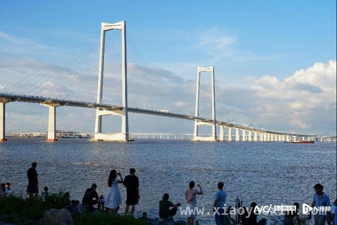 中山2024经济突围：产业升级、环境优化、工改攻坚成效显著 中山2024经济数据亮眼，多领域发力开启崛起新征程