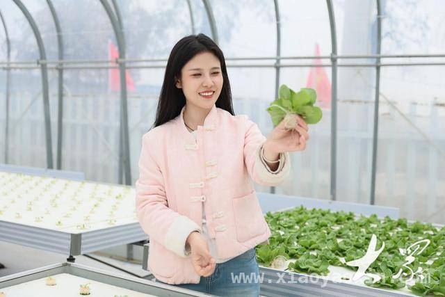 快手助力，新农人让寿光农业焕发生机