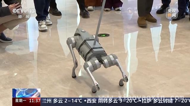 具身智能大会在北京举行，十五大重点方向勾勒发展蓝图 2025中关村论坛：具身智能大会带来行业新突破