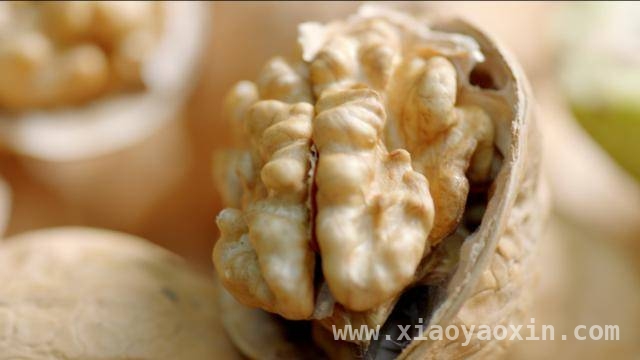 六个核桃：借核桃健脑之力，开启市场增长新征程，科学实证核桃健脑，六个核桃迎增长新契机