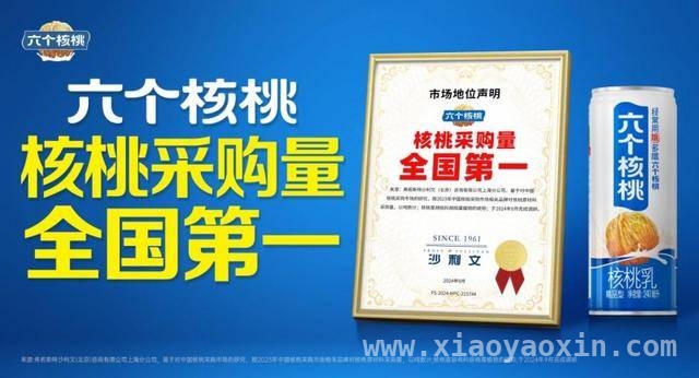 六个核桃：借核桃健脑之力，开启市场增长新征程，科学实证核桃健脑，六个核桃迎增长新契机