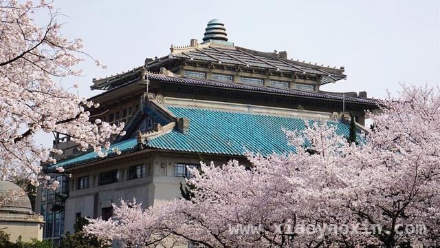 4月2日郑州，武汉大学招生宣讲，为考生家长点亮升学之路！，百年武大招生宣讲会郑州启幕，新高考攻略一网打尽！