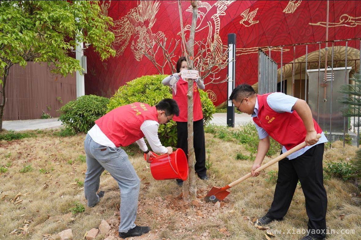 “青力青为”！花都央国企青年共筑绿色生态梦，花都央国企青年挥锹植树，绘就绿美广东新画卷