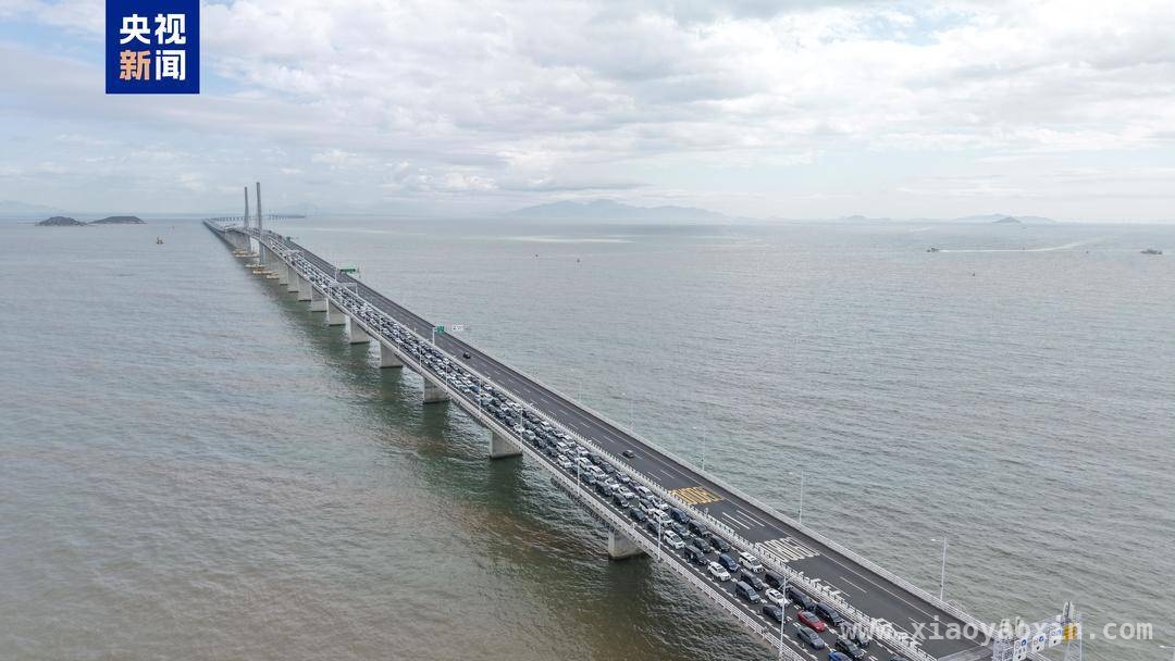 港珠澳大桥一季度客流车流双创新高，大湾区融合再加速