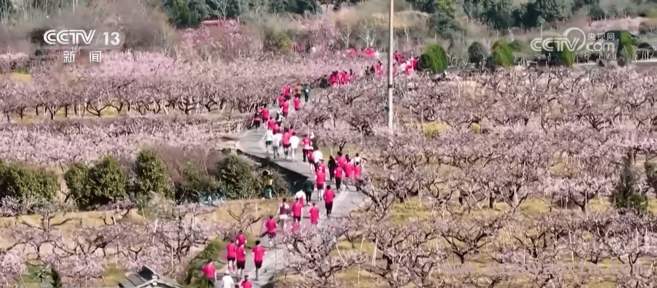 春日赛事经济：流量变增量的火热图景 赛事盛宴：从马拉松到F1，拉动消费的强劲引擎