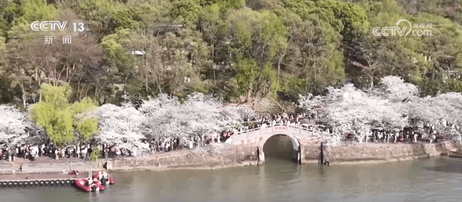 春日赛事经济：流量变增量的火热图景 赛事盛宴：从马拉松到F1，拉动消费的强劲引擎