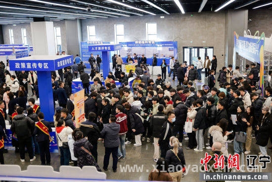 百企联校招聘会启幕，四千岗位助力人才就业，百企联校汇英才，铁西区打造人才发展新环境