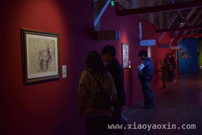 毕加索大型回顾展在济南开幕，跨界融合焕新艺术魅力
