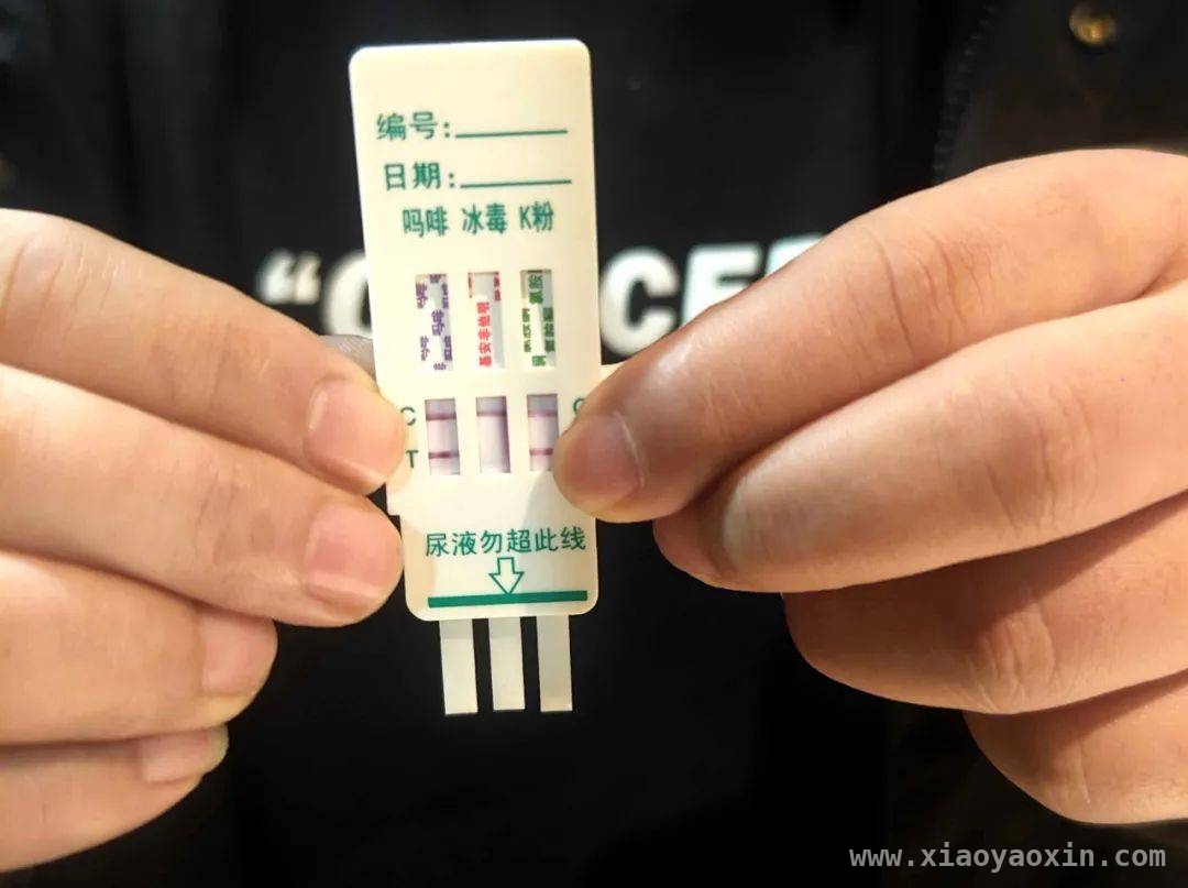 打工返乡染毒瘾，保康民警火速出击！，保康禁毒行动：酒店揪出吸毒客！