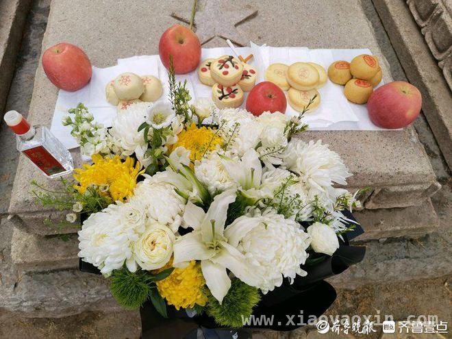 清明祭英烈：海阳女儿蹒跚赴约，致敬济南战役牺牲父亲，77年思念终有寄托，八旬老人腿疾难阻祭扫英烈父亲之路