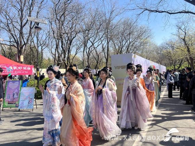 赏千佛山庙会盛景，品传统民俗魅力，千佛山庙会启幕，逾9万游客赴春日盛宴