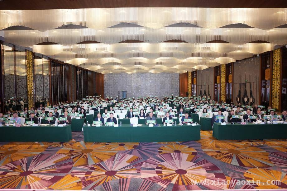 ICEES 2025重庆盛会：多国学者齐聚，聚焦能源与环境前沿，第九届能源与环境科学国际会议在渝圆满召开，共探领域新未来