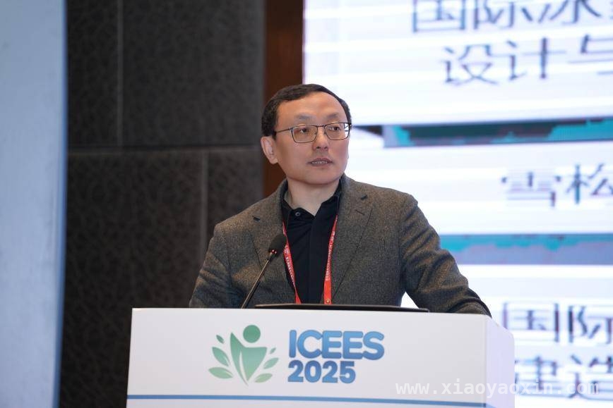 ICEES 2025重庆盛会：多国学者齐聚，聚焦能源与环境前沿，第九届能源与环境科学国际会议在渝圆满召开，共探领域新未来