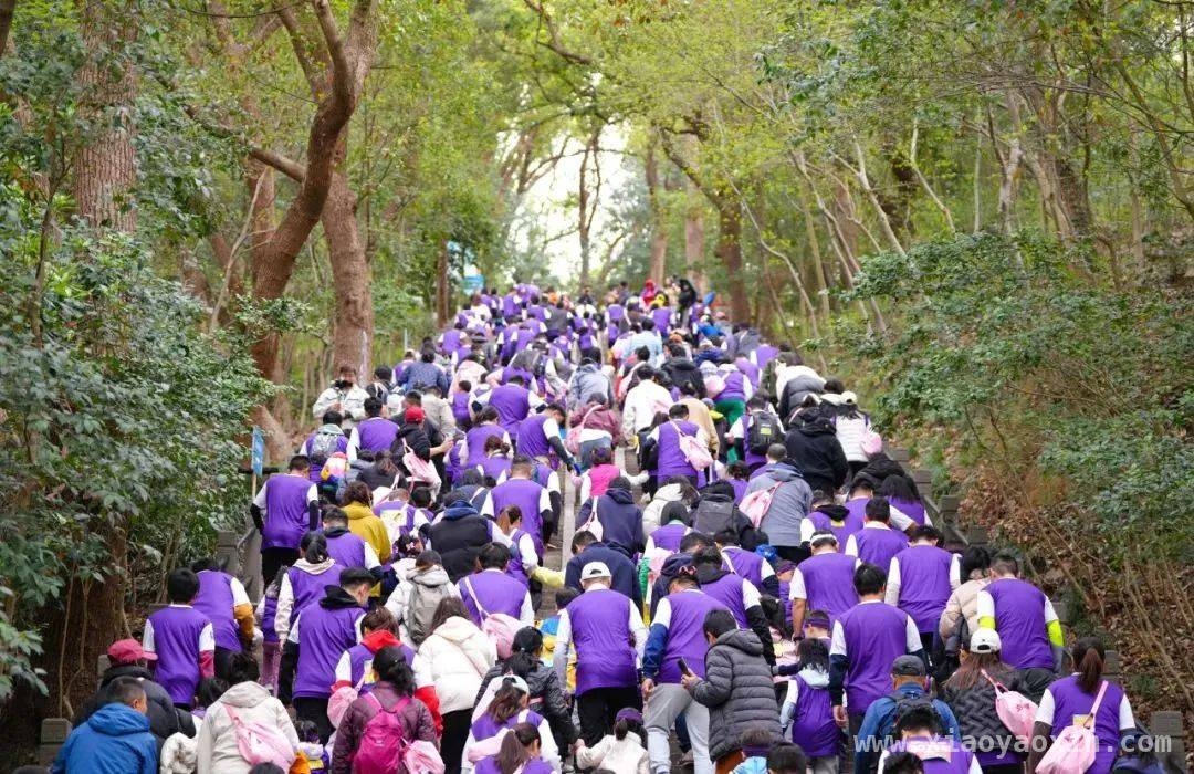 佘山童趣山径赛：孩子们的春日冒险盛宴 2025佘山童趣山径赛：亲子共赴山林欢乐之旅