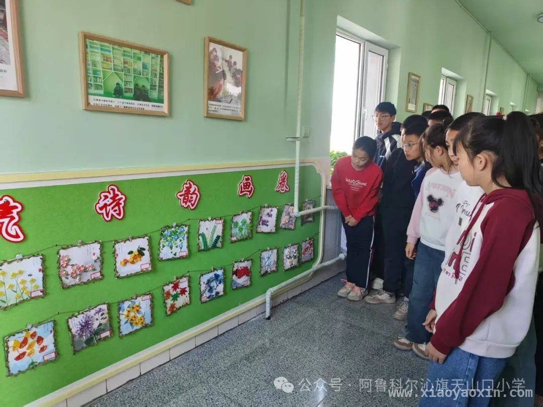 天山口小学校园文化墙研学活动，让知识在行走中“活”起来
