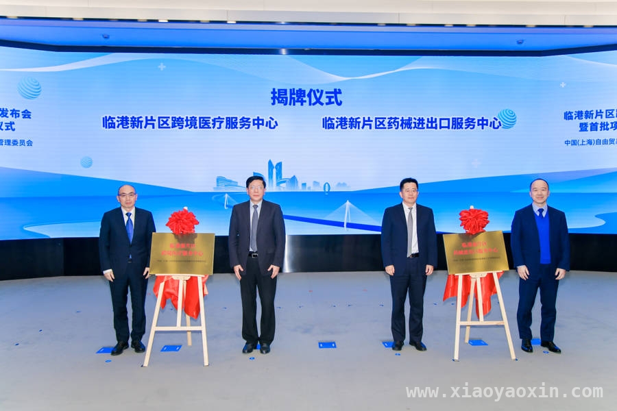 临港新片区跨境医疗：开启外国人上海就医便捷新时代，临港新片区跨境医疗启航，多领域合作推动医疗创新发展
