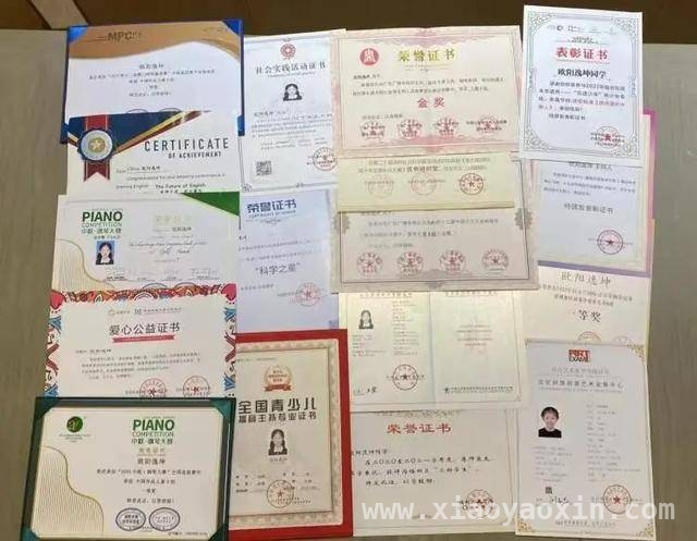 深圳11岁欧阳逸坤：公益与学业双优的成长传奇 欧阳逸坤：11岁的她如何成为新时代好少年典范