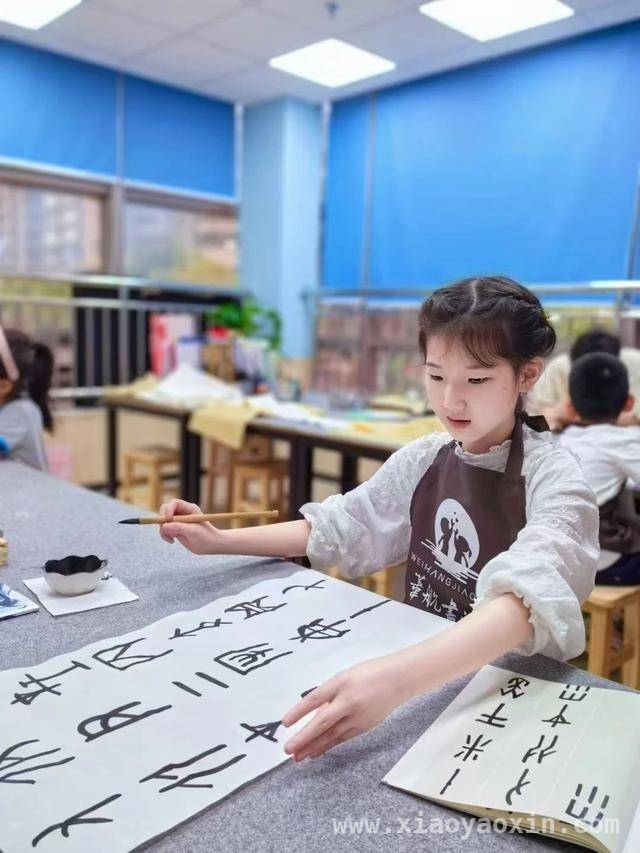 深圳11岁欧阳逸坤：公益与学业双优的成长传奇 欧阳逸坤：11岁的她如何成为新时代好少年典范