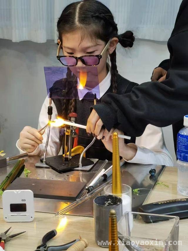 深圳11岁欧阳逸坤：公益与学业双优的成长传奇 欧阳逸坤：11岁的她如何成为新时代好少年典范