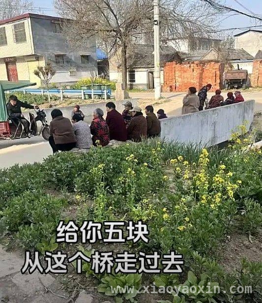 4. 今日搞笑大赏，段子哥带你嗨！
