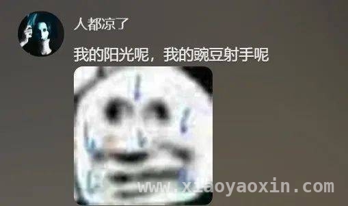 4. 今日搞笑大赏，段子哥带你嗨！