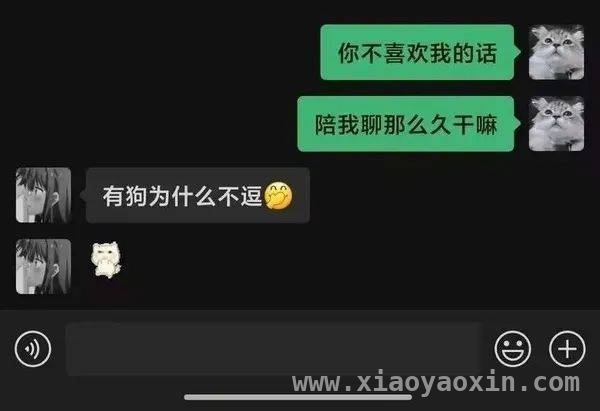 4. 今日搞笑大赏，段子哥带你嗨！