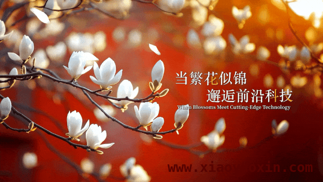 北纬39°56的科技魅力，吸引青年共筑未来之城，北京国际论坛助力，科技青年踏上创新新征程