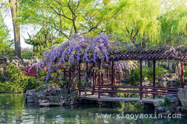 上巳节，赴苏州园林赏石之约