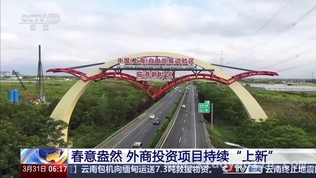中国高水平开放吸引外资，合作共赢未来可期，外资投资中国步伐加快，多行业合作成果丰硕