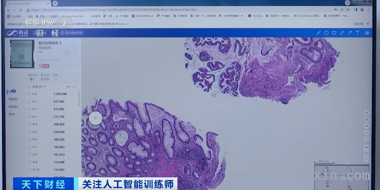 人工智能人才需求大增，相关岗位就业前景一片光明！，人工智能风口下，数据标注岗位需求井喷！