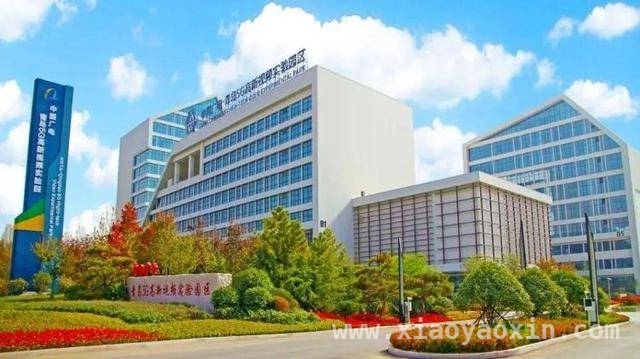 科技赋能，山东文化产业加“数”快跑 山东：文化与科技融合催生产业新活力