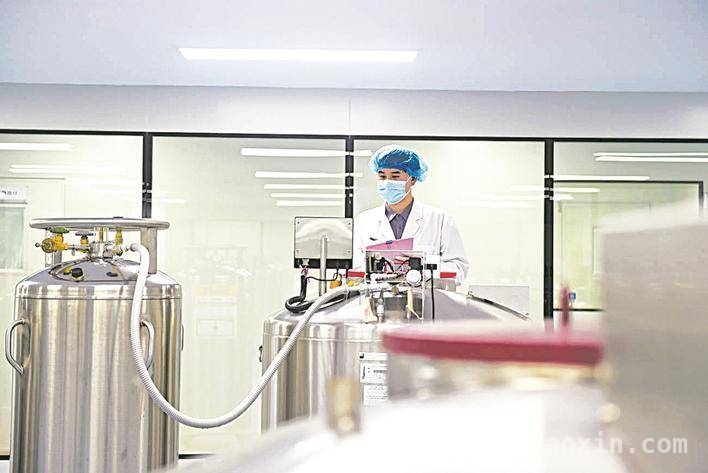 保定：以科技为翼，借人工智能翱翔产业蓝天