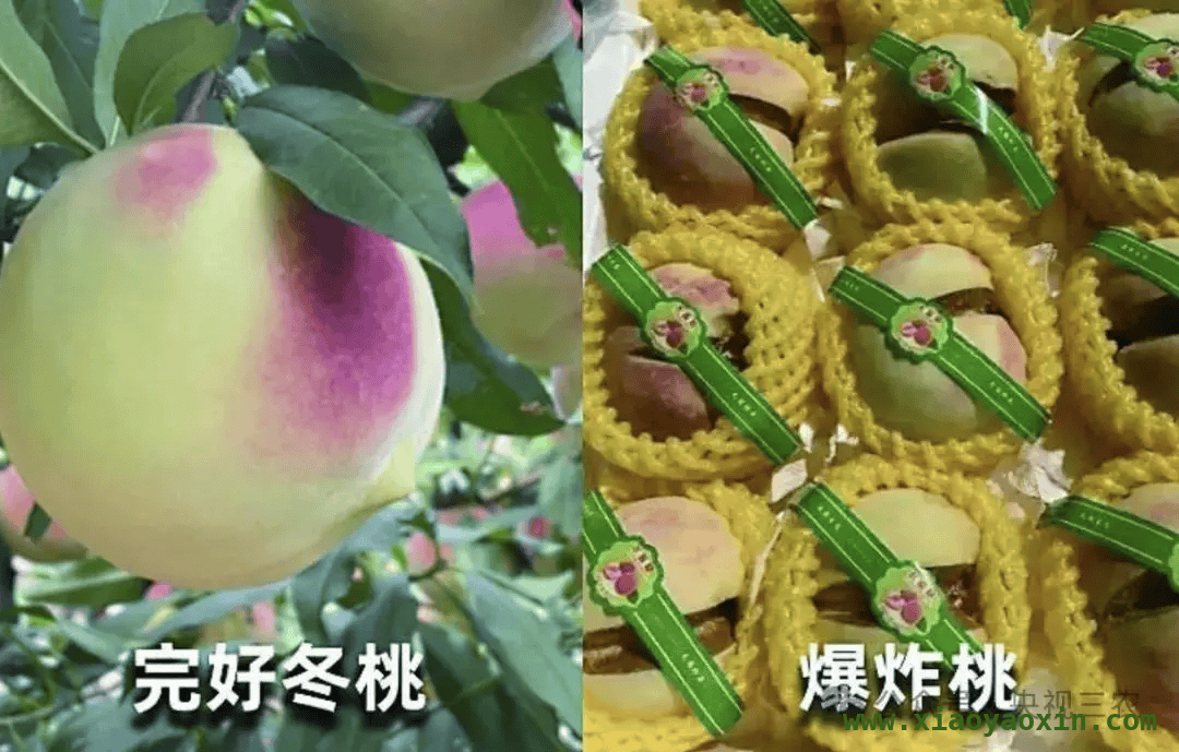 揭秘水果界“骗局”：你被这些名字忽悠过吗？，水果界的“伪装者”，你中过招吗？