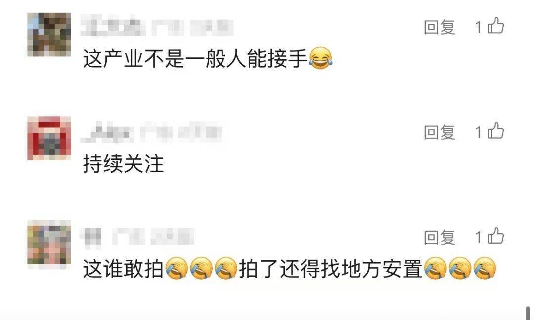 司法拍卖现奇景：深圳100吨活体鳄鱼三次上拍 400万起拍！深圳100吨活体鳄鱼司法变卖引关注