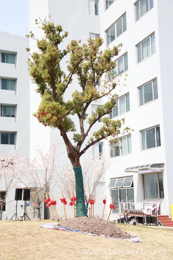 “复旦源”内涵建设公募启动，五大场馆将闪耀登场，探秘复旦“一源五馆”，感受百年名校人文魅力